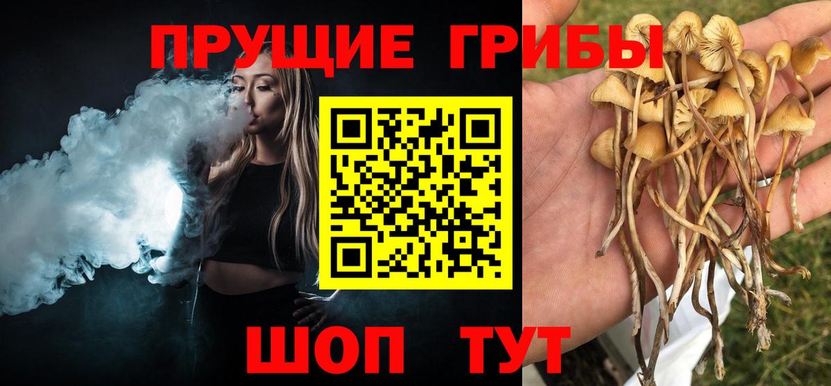 Галлюциногенные грибы ЛСД  Галлюциногенные грибы GOLDEN TEACHER  Новосибирск  Вход с VPN 